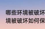 哪些环境被破坏怎样保护环境 哪些环境被破坏如何保护环境