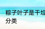 粽子叶子是干垃圾吗 粽子叶子的垃圾分类