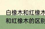 白橡木和红橡木的区别是什么 白橡木和红橡木的区别介绍