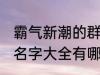 霸气新潮的群名字大全 霸气新潮的群名字大全有哪些