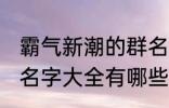 霸气新潮的群名字大全 霸气新潮的群名字大全有哪些