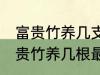 富贵竹养几支最旺运属蛇的 属蛇养富贵竹养几根最招财