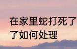 在家里蛇打死了怎么办 在家里蛇打死了如何处理