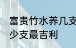 富贵竹水养几支最旺运 富贵竹水养多少支最吉利