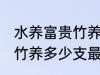 水养富贵竹养几支最旺运财 水养富贵竹养多少支最旺运财