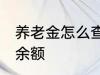 养老金怎么查询余额 养老金如何查询余额