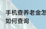 手机查养老金怎么查询 手机查养老金如何查询