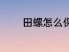 田螺怎么保存 如何存放田螺