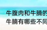 牛腹肉和牛腩的区别是什么 牛腹肉和牛腩有哪些不同