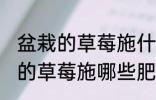 盆栽的草莓施什么肥好不要化肥 盆栽的草莓施哪些肥好不要化肥