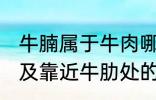 牛腩属于牛肉哪个部位 牛腩即牛腹部及靠近牛肋处的松软肌肉对吗