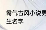 霸气古风小说男主名字 古风儒雅的男生名字