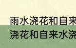 雨水浇花和自来水浇花有区别吗 雨水浇花和自来水浇花有什么区别