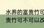 水养的富贵竹可以改土养吗 水养的富贵竹可不可以改土养