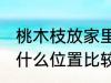 桃木枝放家里什么位置 桃木枝放家里什么位置比较好