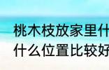 桃木枝放家里什么位置 桃木枝放家里什么位置比较好